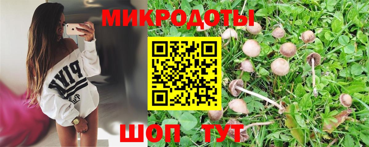 Псилоцибиновые грибы MAGIC MUSHROOMS  Вход с VPN  Зеленогорск 