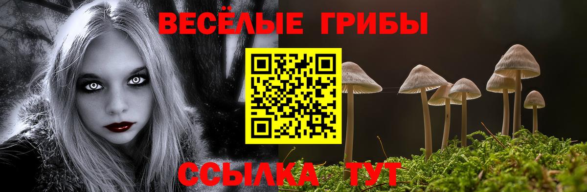 Галлюциногенные грибы Magic Shrooms Зеленогорск